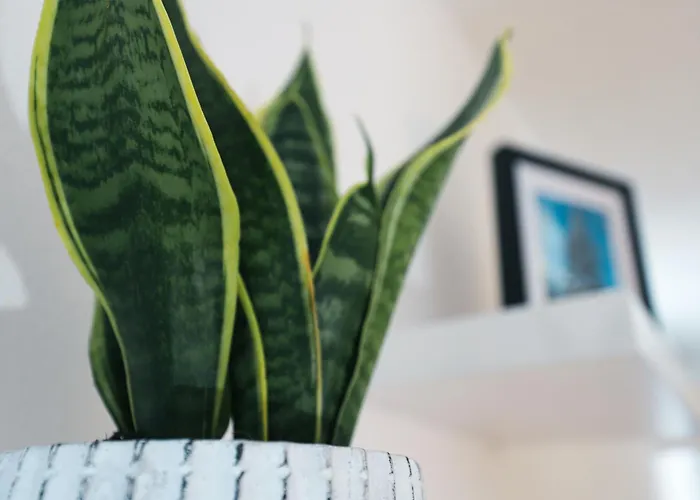 Schladming-top1 Schladming